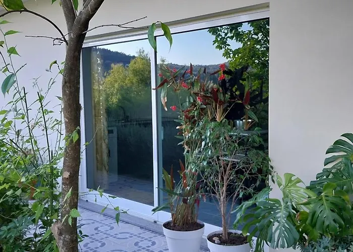 Fons Apartamento Abragao